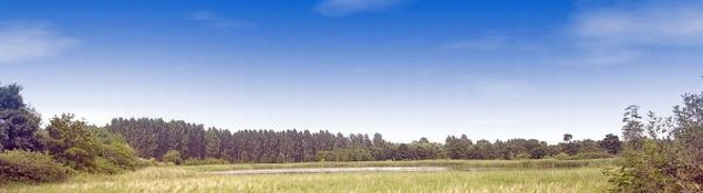 Landschaft